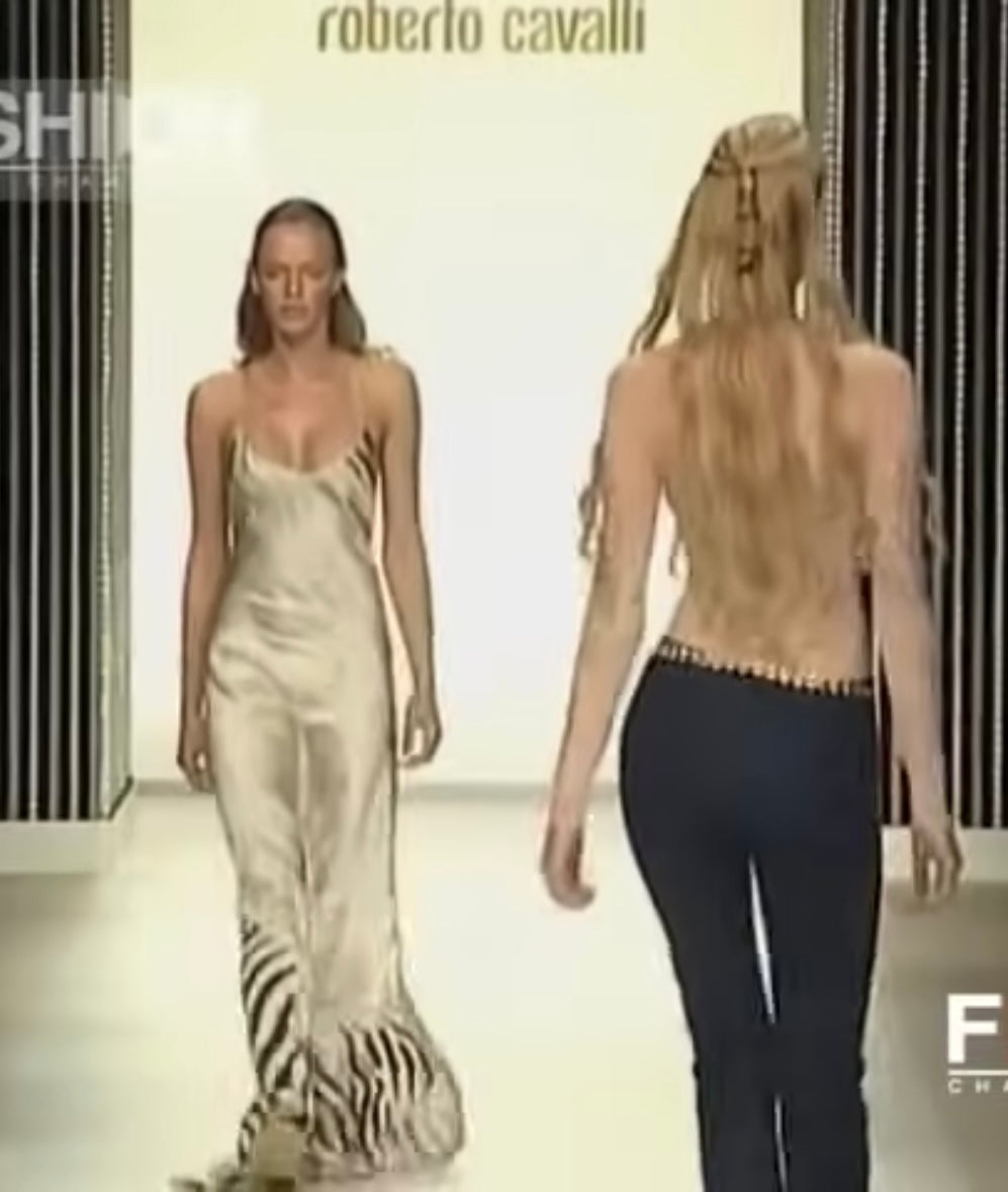 1999 Roberto Cavalli zebra sheer maxi dress