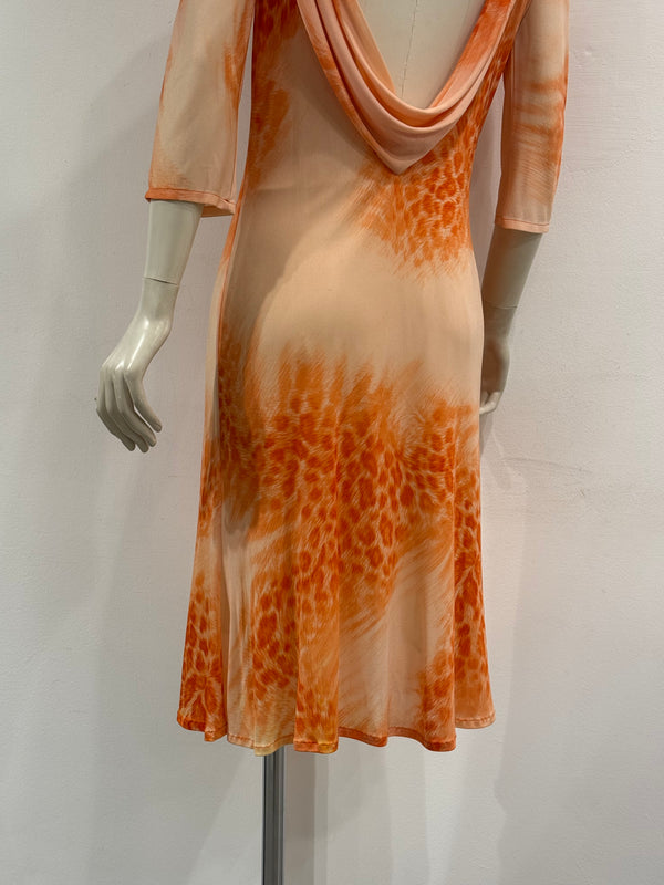 2000s Roberto Cavalli backless printed dress
