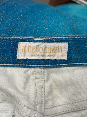 2000s Roberto Cavalli gradient pants