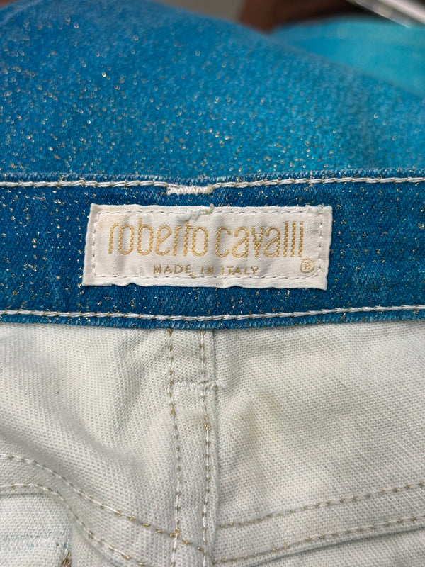 2000s Roberto Cavalli gradient pants