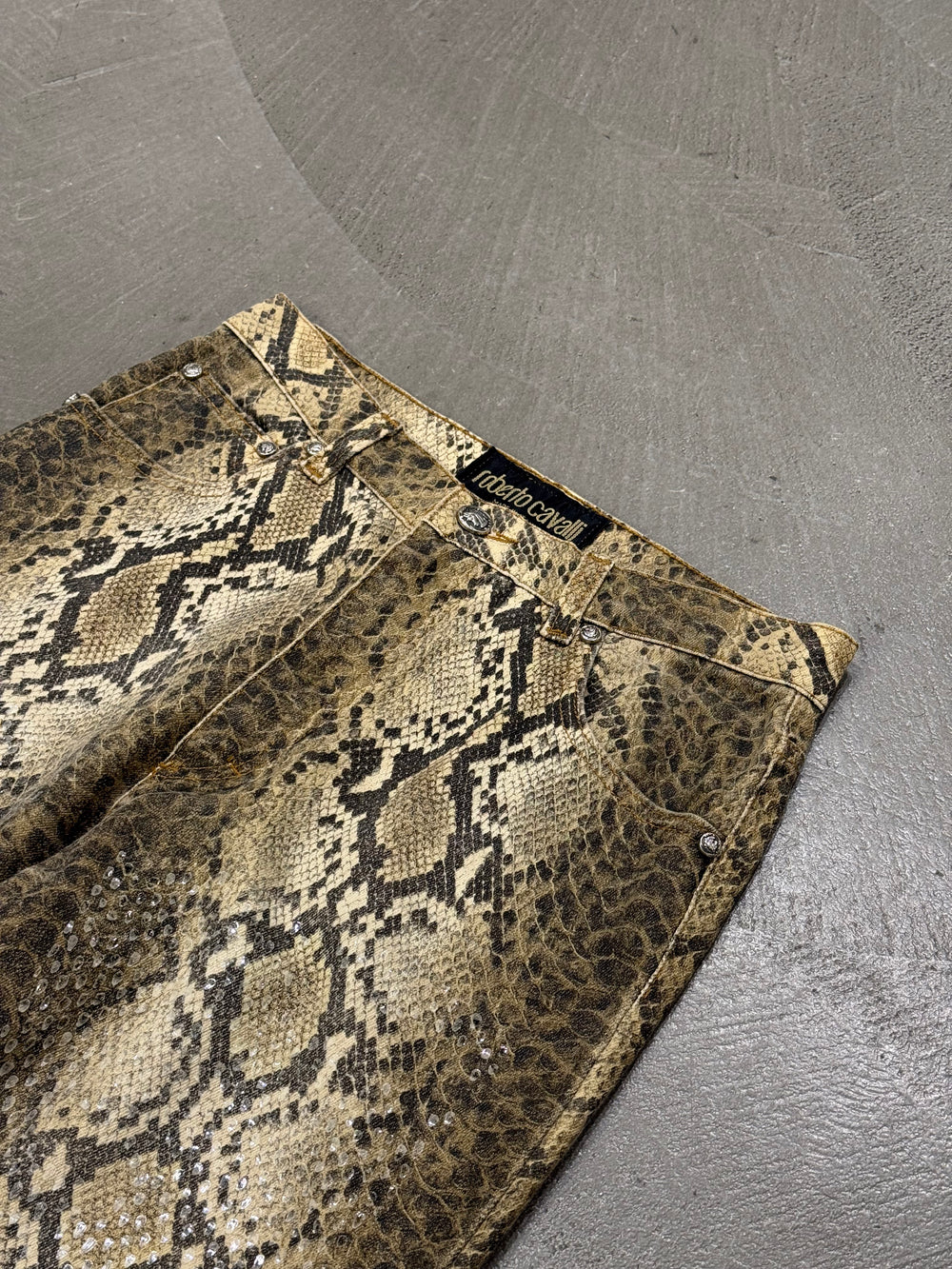 2000s Roberto Cavalli python print pants