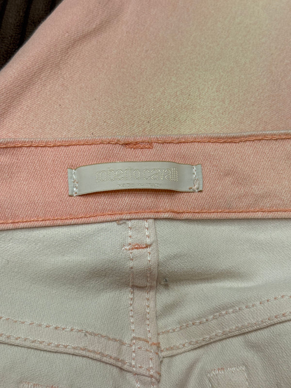 Roberto Cavalli gradient spray pants