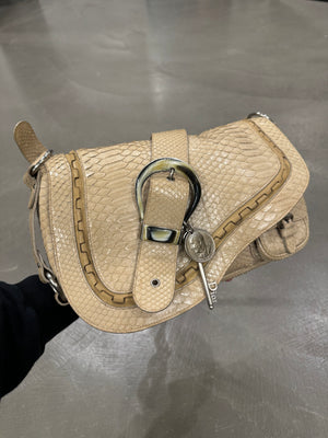 2000s Dior by John Galliano python bag - limited editions