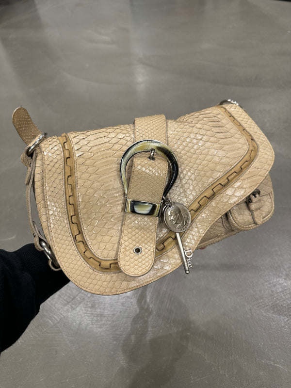 2000s Dior by John Galliano python bag - limited editions