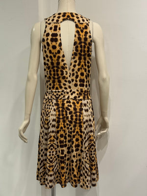 2000s Roberto Cavalli leopard print dress