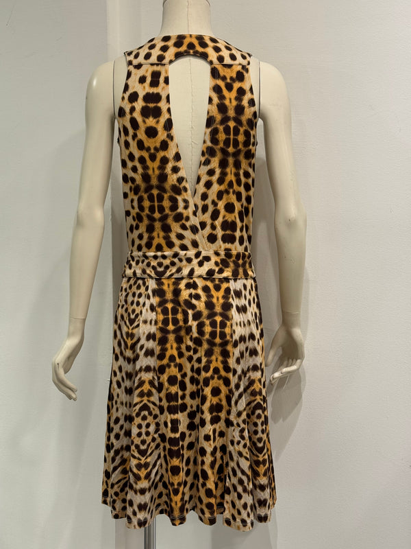 2000s Roberto Cavalli leopard print dress