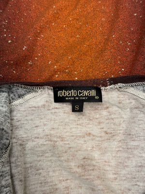 A/W2000 Roberto Cavalli gradient tiger top